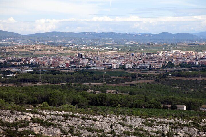 Private Day Trip to the Penedès Wine Region from Barcelona 8Hours