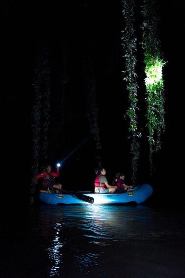 Picture 4 for Activity La Fortuna: Guided Twilight Wildlife Safari