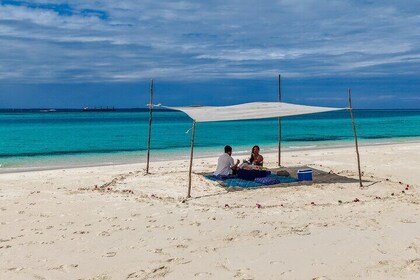 Private - Hidden & Empty Sandbank with Seafood Lunch