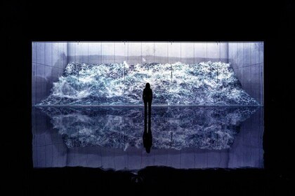 ARTE MUSEUM Immersive Media Art Exhibition in NYC