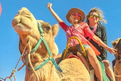 Promena DE a Back of the Camel in Agadir at Sunset
