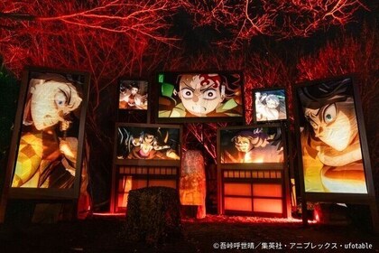 Anime Demon Slayer Night Walk Ticket