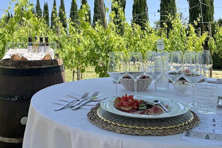 Classic: Tuscan Vineyard Lunch with Wine Tasting