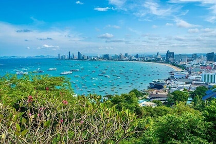 From Bangkok: Pattaya Snapshot Journey - Private Day Trip