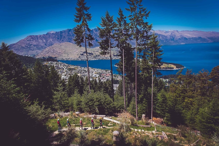 Picture 8 for Activity Queenstown: 3-Hour Zipline Adventure with 6-Lines