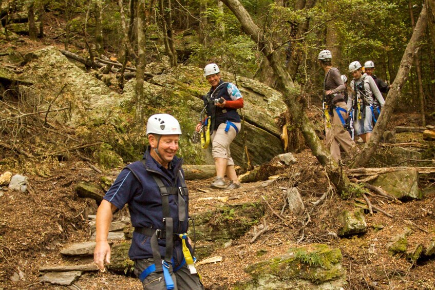 Picture 2 for Activity Queenstown: 3-Hour Zipline Adventure with 6-Lines