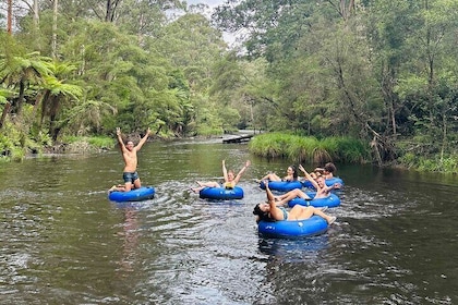 Self-Guided River Tubing Adventure on the Yarra River