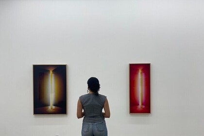 Private Art Gallery Tour in Plataeu Mont Royal