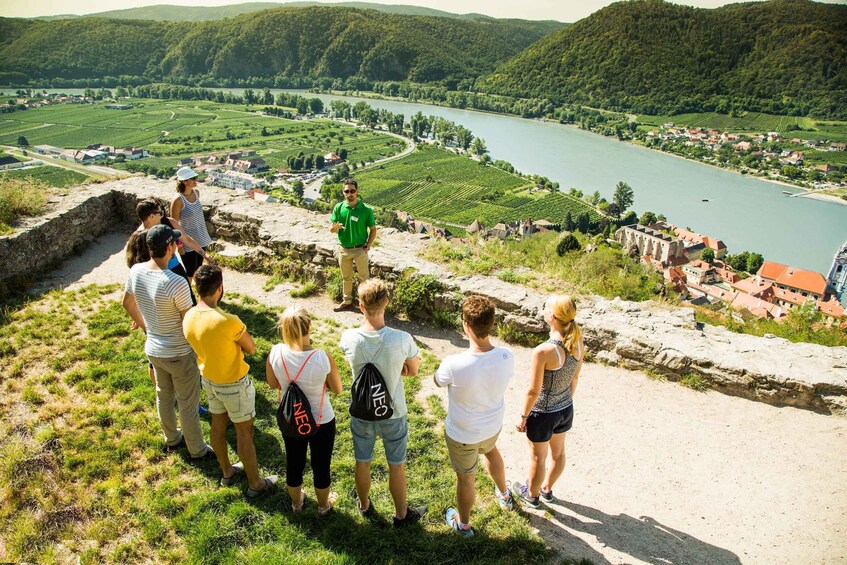 Picture 1 for Activity Grape Grazing: Wachau Valley Winery Biking Tour