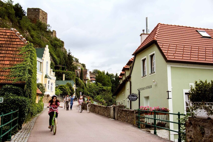 Picture 12 for Activity Grape Grazing: Wachau Valley Winery Biking Tour