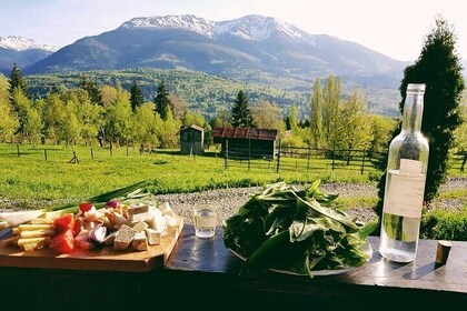 Bear Sanctuary, Bran Castle & Food Tasting Half Day Tour