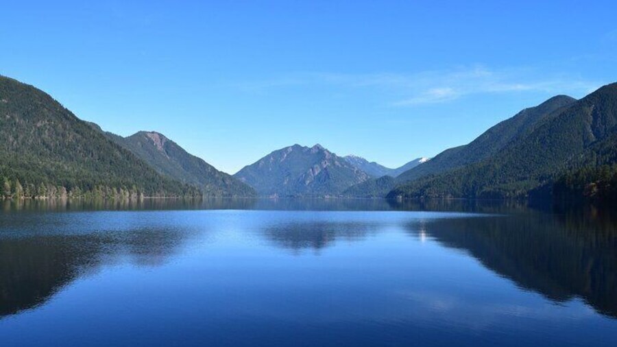From Seattle Hoh rain forest and Olympic National Park Highlight