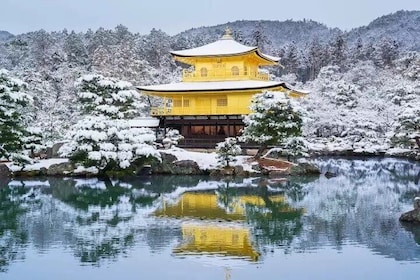 Golden Pavilion Kiyomizu Temple and Fushimi Inari Shrine Tour