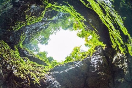 Terceira Island Half Day Tour Algar do Carvão The Lava Route