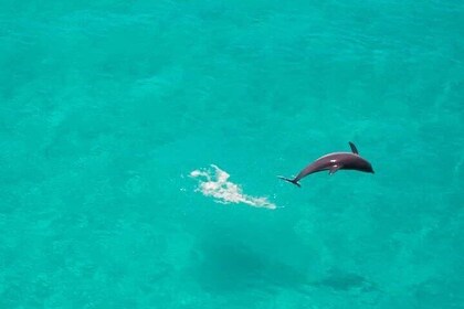 Zanzibar Full Day Private Tour with Sunset Beach & Seafood BBQ