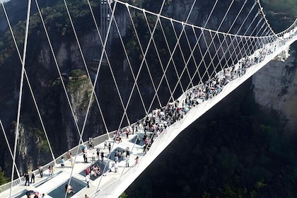 2-Day Chongqing-Zhangjiajie Private TourUncover the Must-See Gems