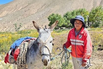 Discover Humahuaca Hornocal and Iruya Full Tour in 2 Days