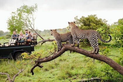 Sri Lanka:5-Day Wildlife Tour with Entry & Adventures Fees
