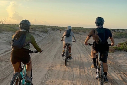 Scenic Bay Bike Ride Through Desert and Mangrove