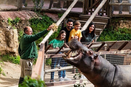 Selwo Aventura Estepona Admission Ticket