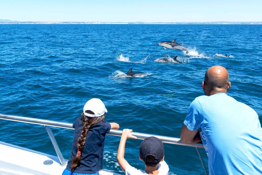 Picture 6 for Activity From Albufeira: Dolphins and Caves 2.5-Hour Boat Trip
