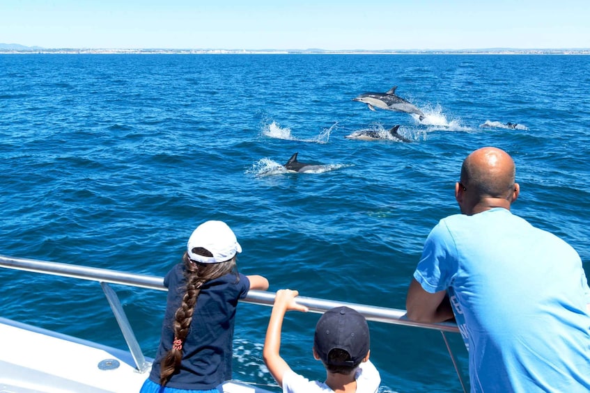Picture 6 for Activity From Albufeira: Dolphins and Caves 2.5-Hour Boat Trip