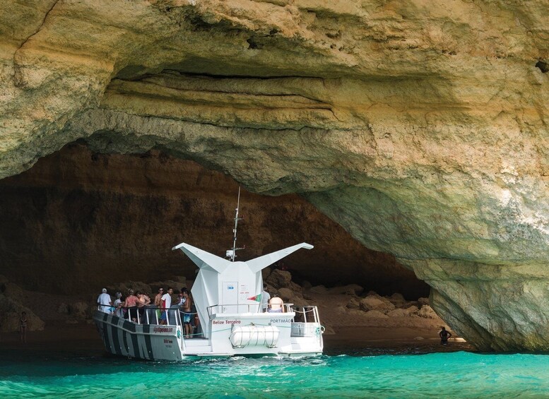 Picture 4 for Activity From Albufeira: Dolphins and Caves 2.5-Hour Boat Trip