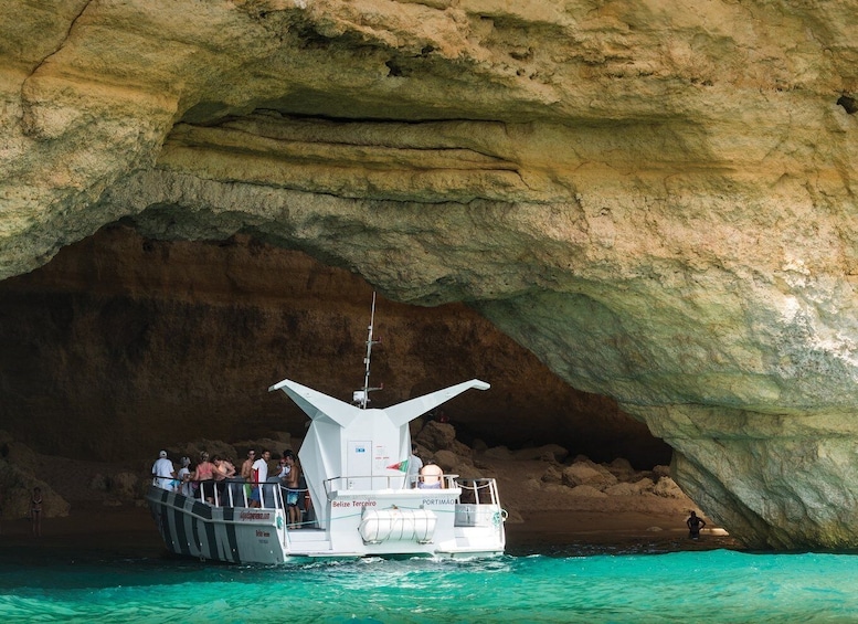 Picture 4 for Activity From Albufeira: Dolphins and Caves 2.5-Hour Boat Trip