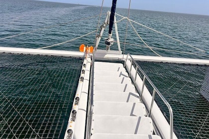 Relaxing Catamaran Cruise with Swimming Stop