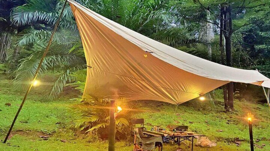 Experience Khao Sok Jungle Escape Half Day Half Night