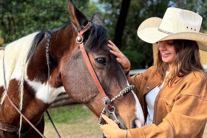 Tequilero Tour with Horseback Riding