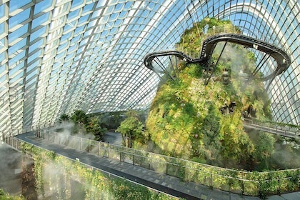 Gardens by the Bay Cloud Forest Flower Dome and Supertree Tickets