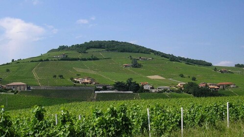 Demi-journée de visite des vins du Beaujolais au départ de Lyon