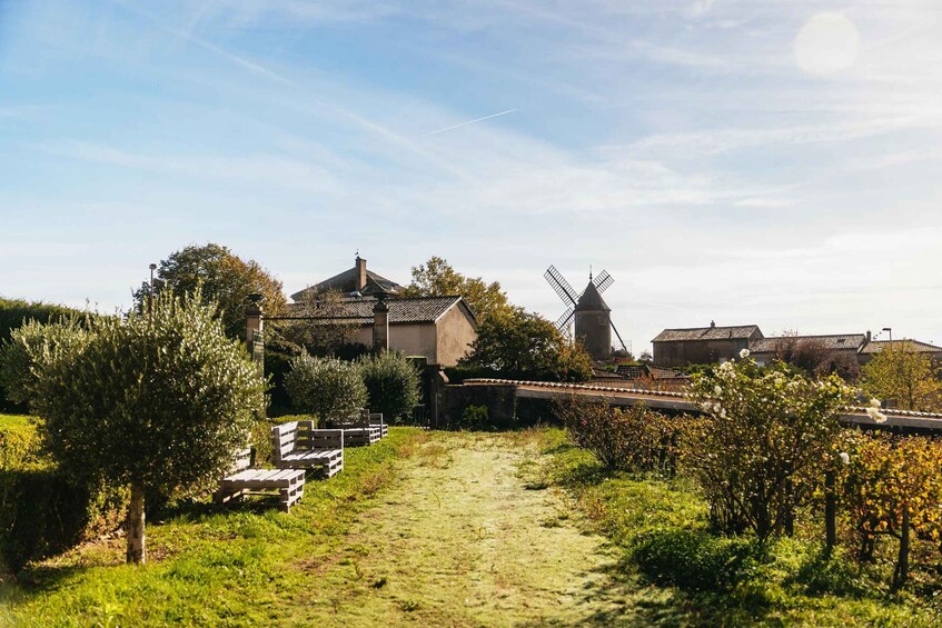 Picture 9 for Activity From Lyon: Beaujolais Region Wine Tour with Tastings