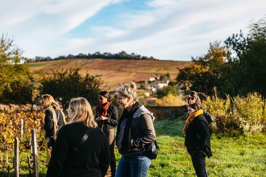 Picture 4 for Activity From Lyon: Beaujolais Region Wine Tour with Tastings