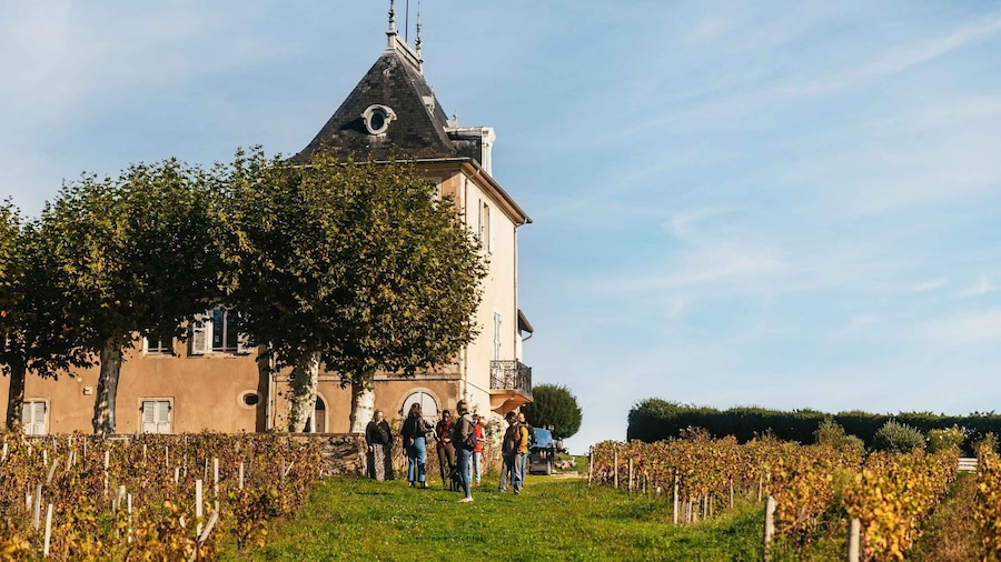 From Lyon: Beaujolais Region Wine Tour with Tastings