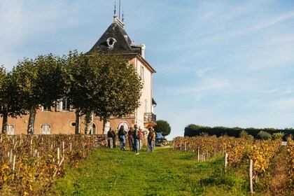 From Lyon: Beaujolais Region Wine Tour with Tastings