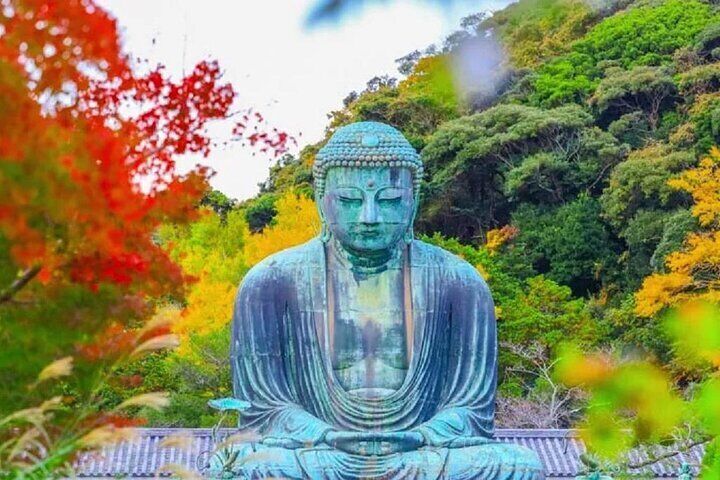 Tokyo Yokohama Night View Tour With Kamakura And Enoshima Island