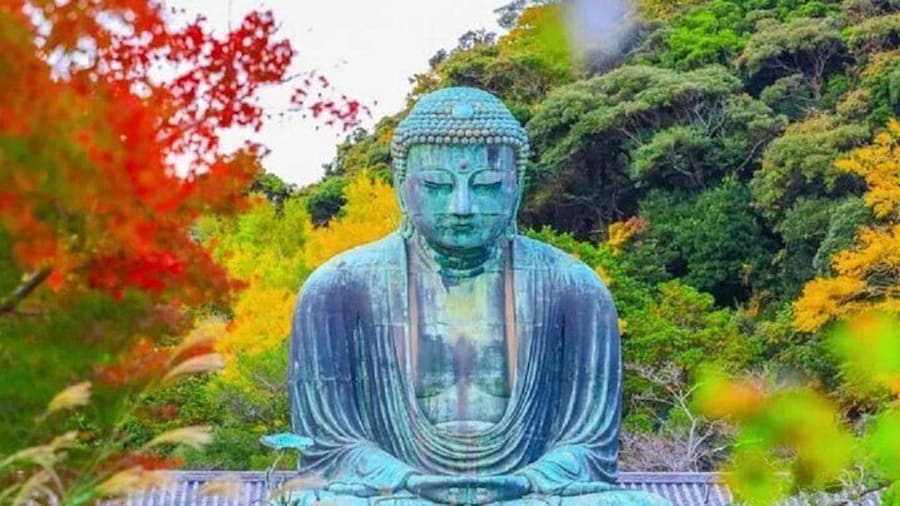 Tokyo Yokohama Night View Tour With Kamakura And Enoshima Island