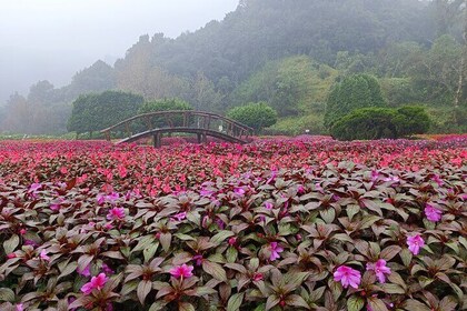 Private Doi Inthanon National Park Full Day Tour