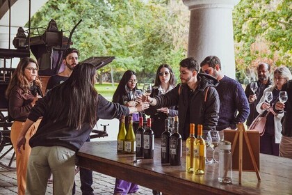 Isla Negra, Algarrobo e Undurraga