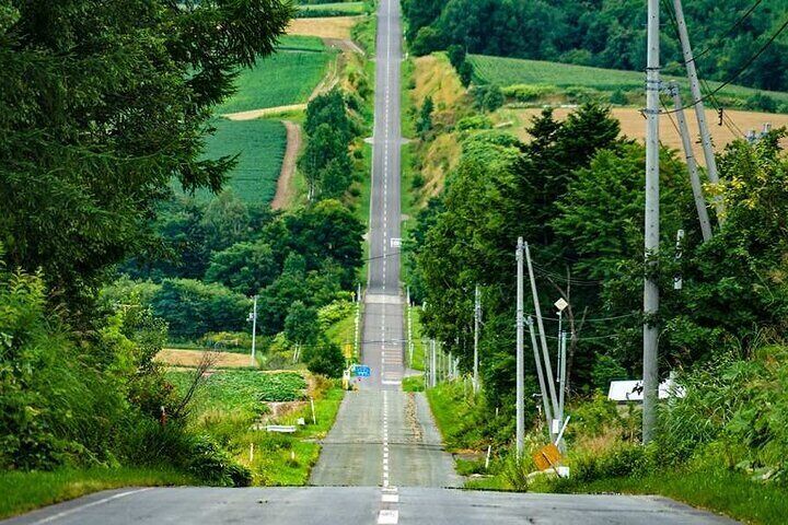 Hokkaido Flower Fields & Blue Pond Day Tour