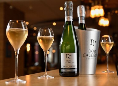 Meunier Champagne Experience tour - Passy-Grigny