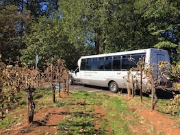 Wine and Harvest Tour