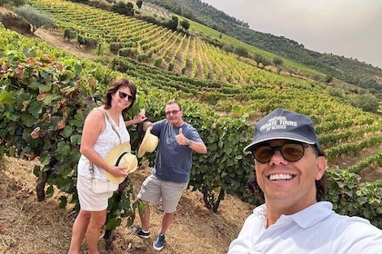 Douro Valley Private Wine Tour from Porto