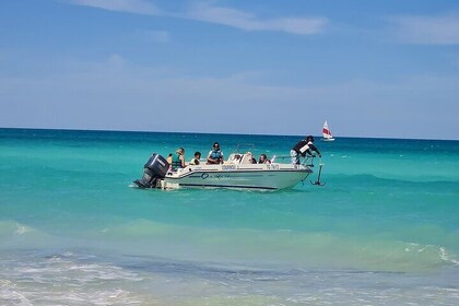 1h30 Sea Trip with Swimming and Dolphin Watching