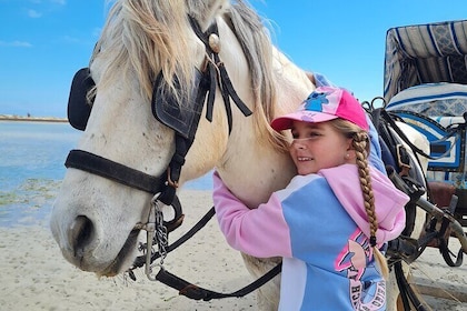 Prom EN a DE en Carriage at Sunset in Djerba Lagoon
