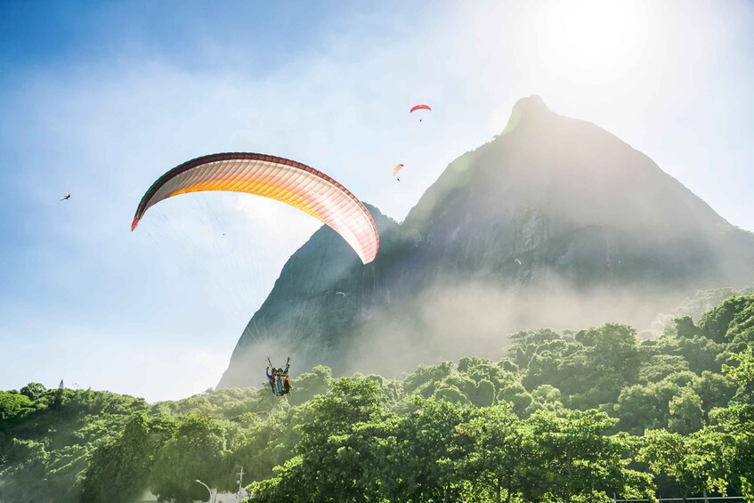 Picture 2 for Activity Wonders of Rio: Christ, Selaron Steps, and Tijuca Forest