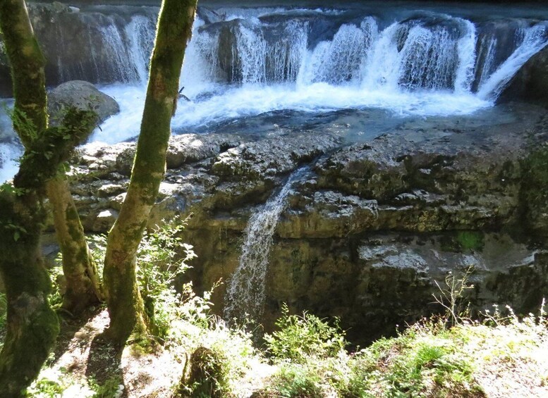 Picture 1 for Activity Kutaisi: Martvili, Okatse Canyon, and Prometheus Cave Tour