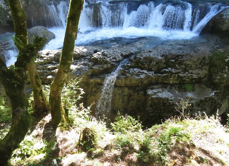 Picture 1 for Activity Kutaisi: Martvili, Okatse Canyon, and Prometheus Cave Tour